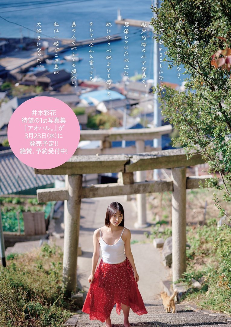 井本彩花