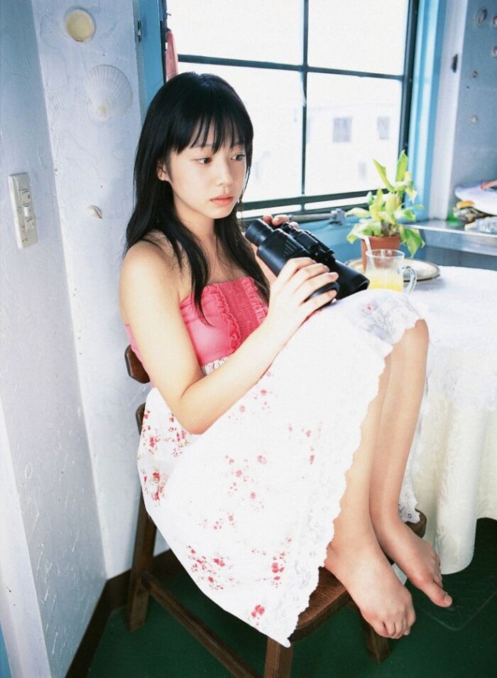 夏帆