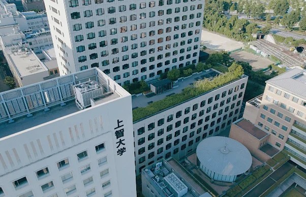 森迫永依