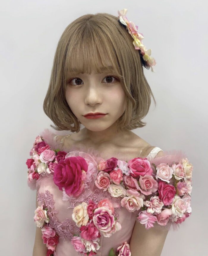 清司麗菜