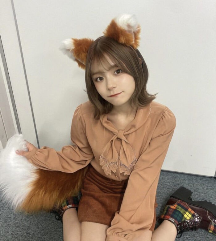 清司麗菜