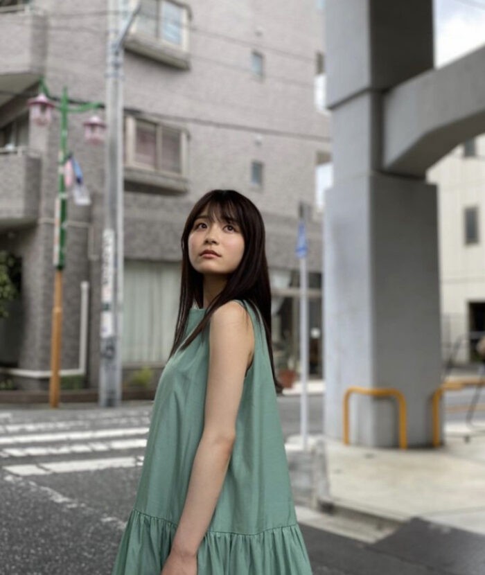 清司麗菜