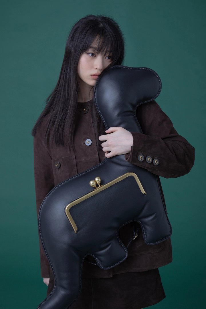 菊池日菜子
